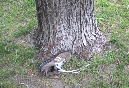 ilsserontvaincus_arbre 03