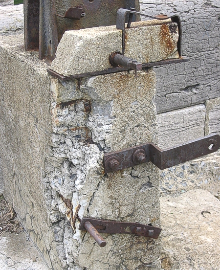 ilsserontvaincus_fossile 01